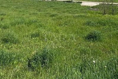 Teren agricol intravilan de 1250 mp, în Răscruci - 1