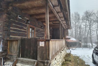 Casă cu 7 camere cu Teren 3035 Mp în Polovragi - 10