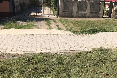 Casă cu 5 camere cu Teren 1519 Mp în Cogealac - 5