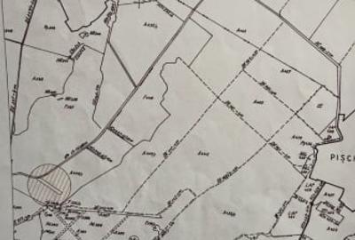 Teren agricol extravilan de 8500 mp, în Pișchia - 1