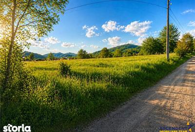 Teren de 5750 mp, în Ibănești - 3