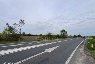 Teren de 48800 mp, în Pădureni - 1