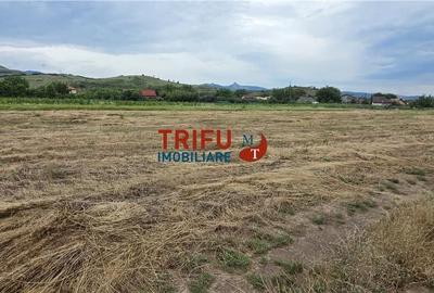 Teren de 1374 mp, în Șard