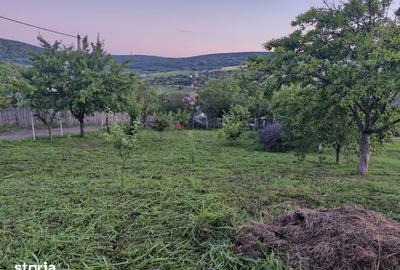 Teren de 740 mp, în Tomești - 12