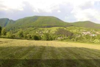 Teren de 1500 mp, în Bistrița - 3