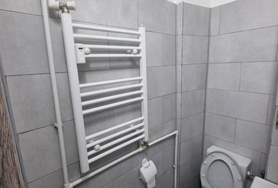 Garsonieră semidecomandată în Craiovița Nouă - 2