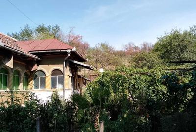Casă cu 3 camere în Livezi