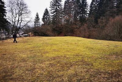 Teren de 2000 mp, în Stejaru (Pângărați) - 3