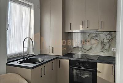 Apartament cu 2 camere decomandat în Valea Borcutului - 2