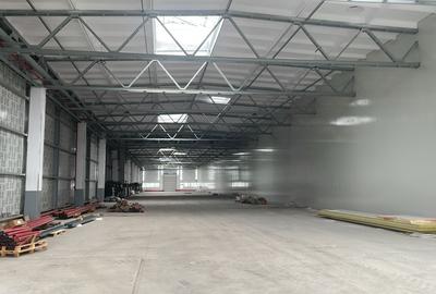 Spațiu industrial, de 1,000 mp, în Astra - 4