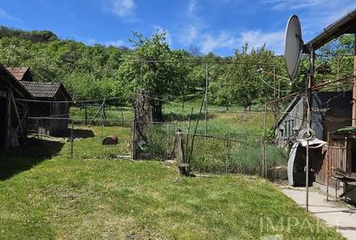 Casă individuală cu 3 camere cu Teren 3000 Mp în Petrindu - 7