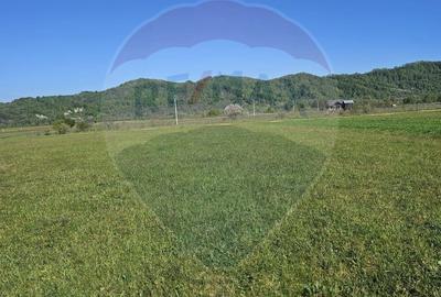 Teren de 1780 mp, în Bocicoiu Mare - 2