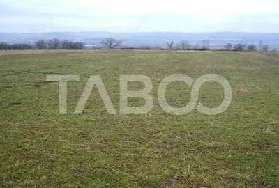 Teren de 3000 mp, în Paltin - 2