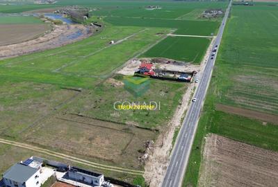 Teren Construcții intravilan de 2010 mp, în Frumușani - 1