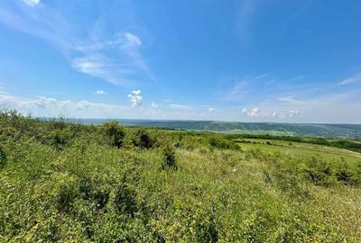 Teren extravilan de 3600 mp, în Central - 3