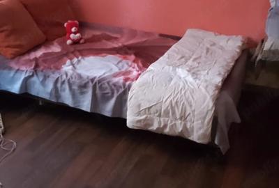 Casă cu 3 camere cu Teren 1200 Mp în Dudeștii Noi - 3