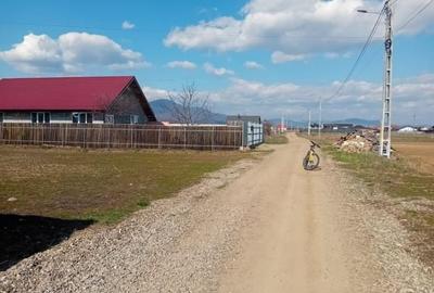 Teren de 3460 mp, în Dumbrava - 3