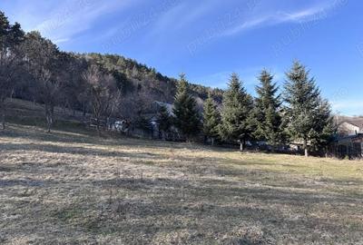 Teren de 5000 mp, în Gârcina - 3