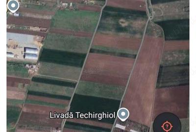 Teren de 5000 mp, în Central