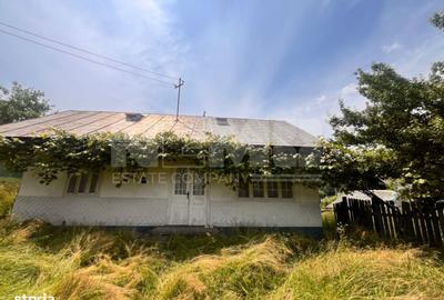 Casă cu 3 camere în Brusturi - 1
