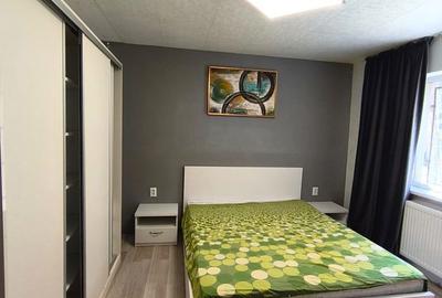 Apartament cu 3 camere decomandat în Giurgiului - 3
