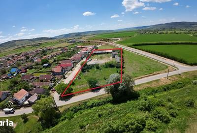 Teren de 7929 mp, în Daneș - 2