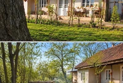 Casă cu 4 camere cu Teren 3113 Mp în Drăgănești-Vlașca