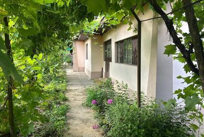 Casă cu 4 camere cu Teren 1315 Mp în Dridu
