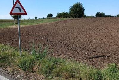 Teren de 1300 mp, în Belciugatele