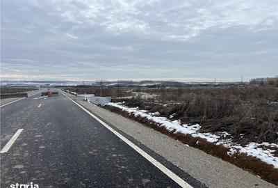 Teren de 30000 mp, în Biharia - 3