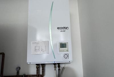 Casă cu 4 camere cu Teren 2100 Mp în Viișoara