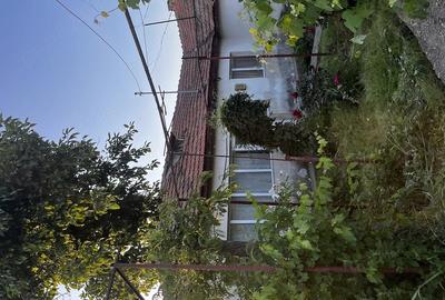 Casă cu Teren 1256 Mp în Manasia