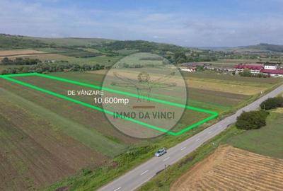 Teren de 10670 mp, în Borșa - 5