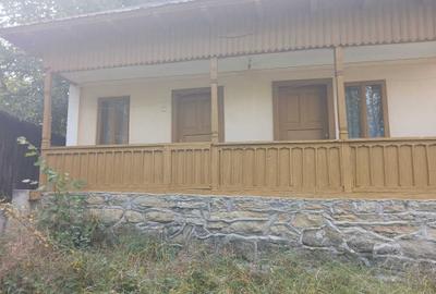 Casă cu 2 camere în Păușești