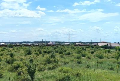 Teren intravilan de 30600 mp, în Nord-Est - 10