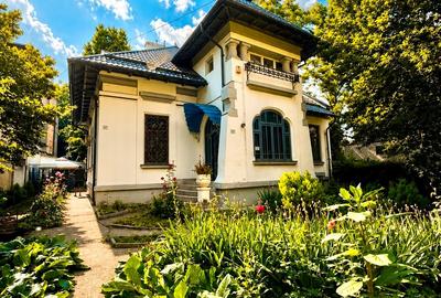 Casă individuală cu 8 camere cu Garaj în Dorobanți - 2