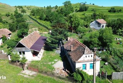 Casă cu 3 camere în Zlagna - 8
