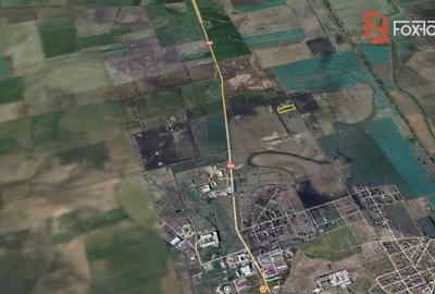 Teren agricol extravilan de 10000 mp, în Săcălaz - 4