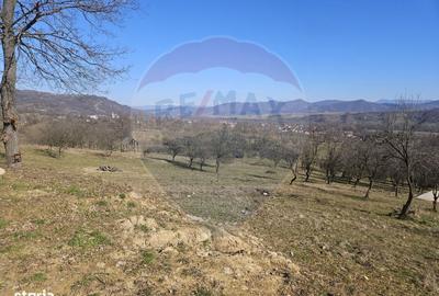 Spațiu comercial, în Bârsana - 2