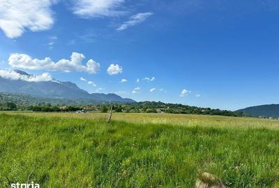 Teren de 1000 mp, în Bran