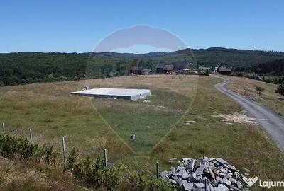 Teren de 3322 mp, în Paltin - 7