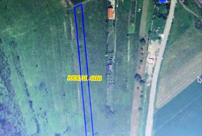 Teren de 2900 mp, în Baciu - 3