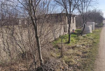 Teren de 5000 mp, în Corbii Mari - 3