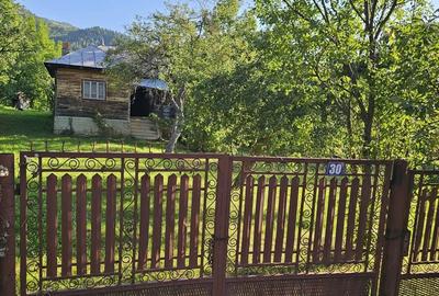 Casă cu 4 camere cu Teren 3000 Mp în Central - 2