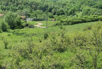Teren de 5850 mp, în Crușovița - 2