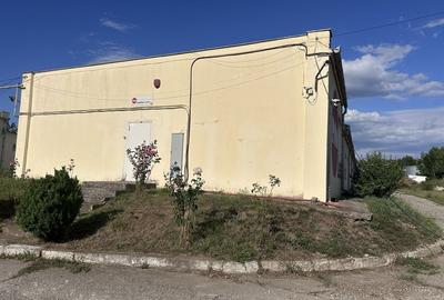 Spațiu comercial, de 1,000 mp, în Bălata - 1