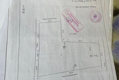 Spațiu comercial, în Central