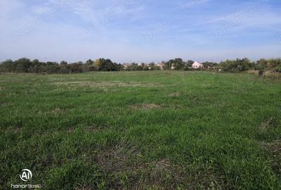 Teren de 13668 mp, în Dudeștii Vechi - 2
