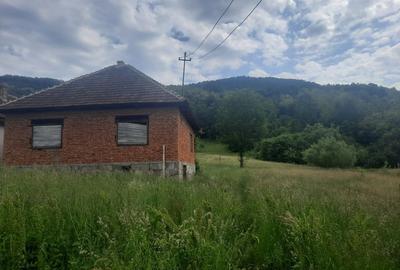 Casă cu Teren 15000 Mp în Tălagiu