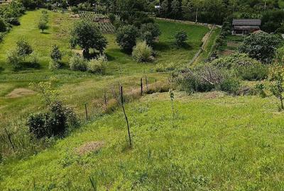 Teren de 1500 mp, în Vorovești - 1
